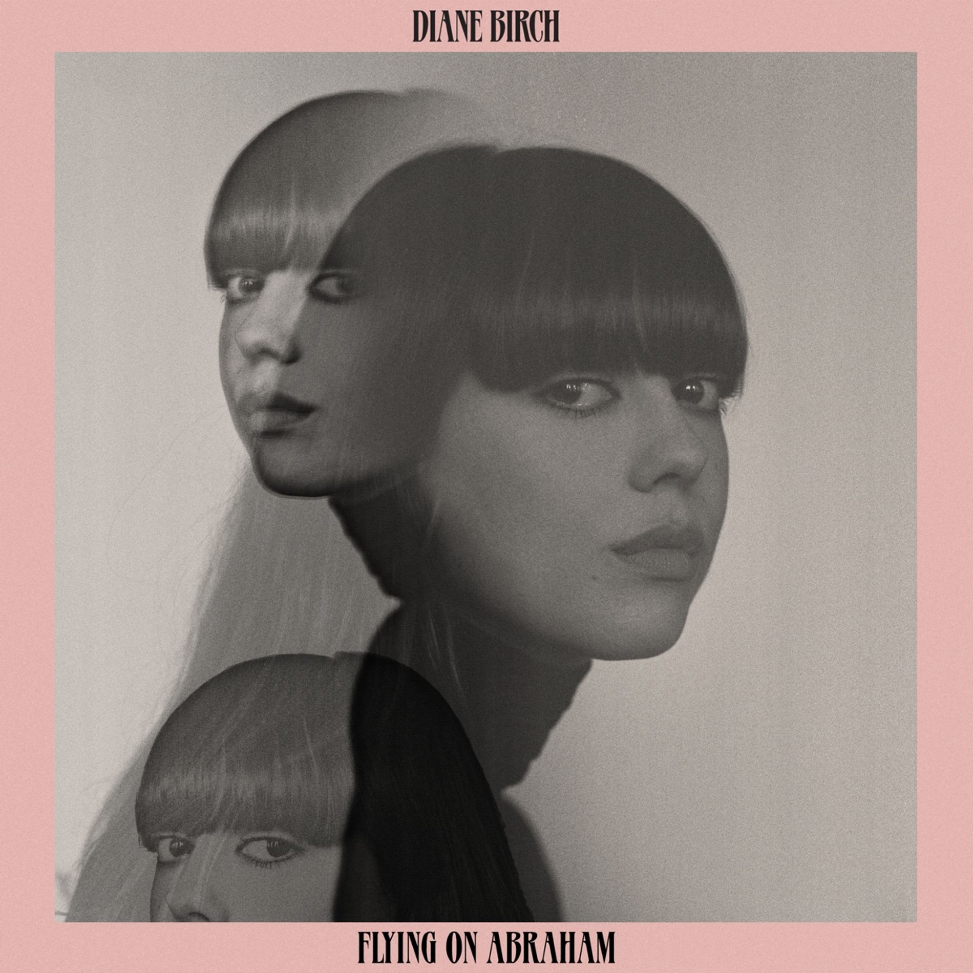 DIANE BIRCH: Flying On Abraham (2024)