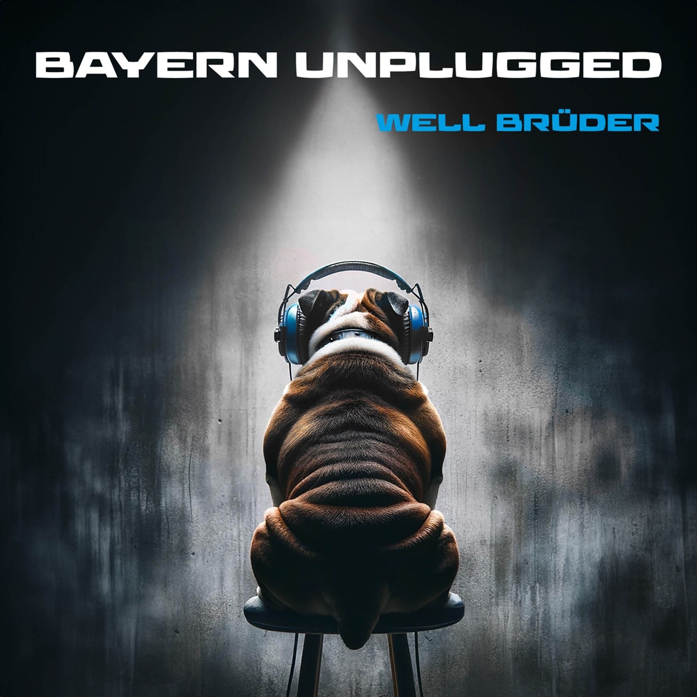 WELL BRÜDER: Bayern Unplugged (2024)